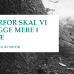 Derfor skal vi bygge mere med træ - Holdbar